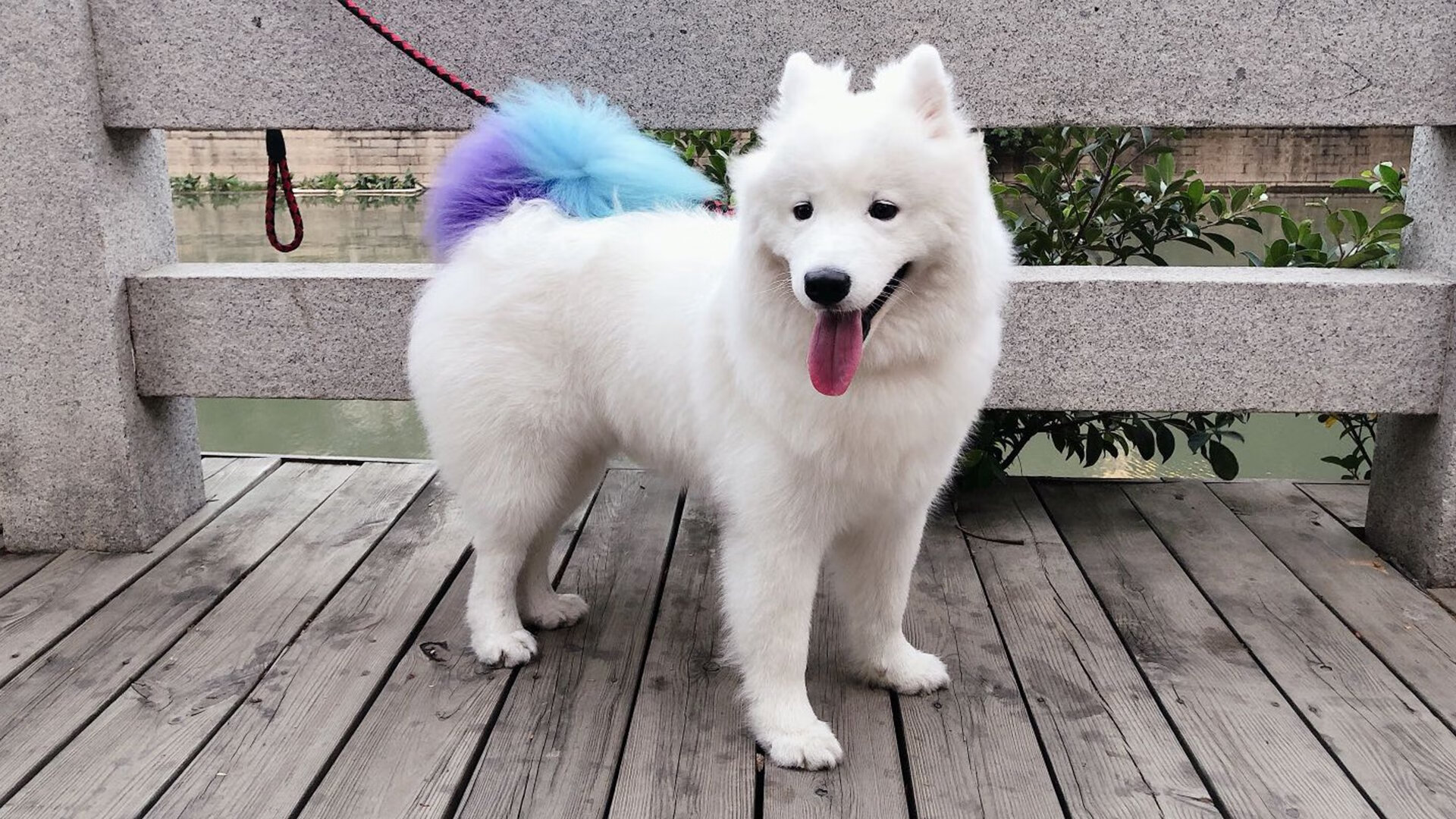 爱游戏在线-克拉玛依不眠夜，天山脚下一记射穿骑士心脏的子弹