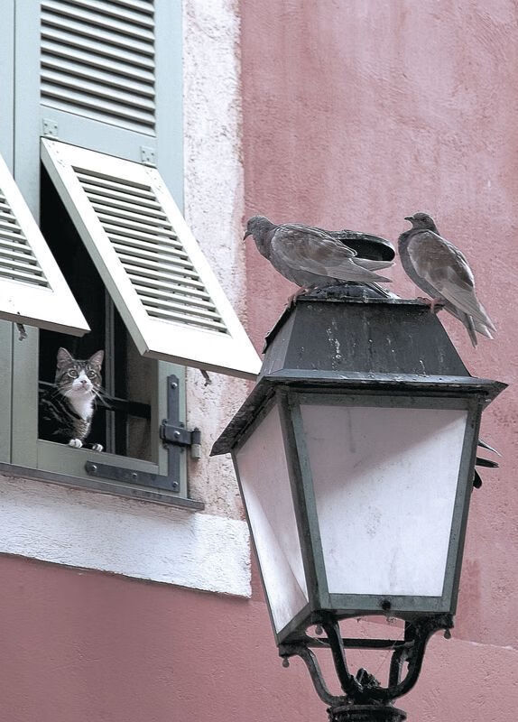 欧冠半决赛之夜，阿尔瓦雷斯转动命运魔方，镌刻独属于他的神格