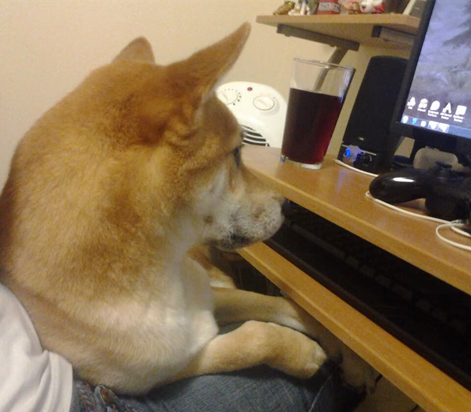 绿茵交响诗，佩德里的节奏齿轮与马赛的殖民火力