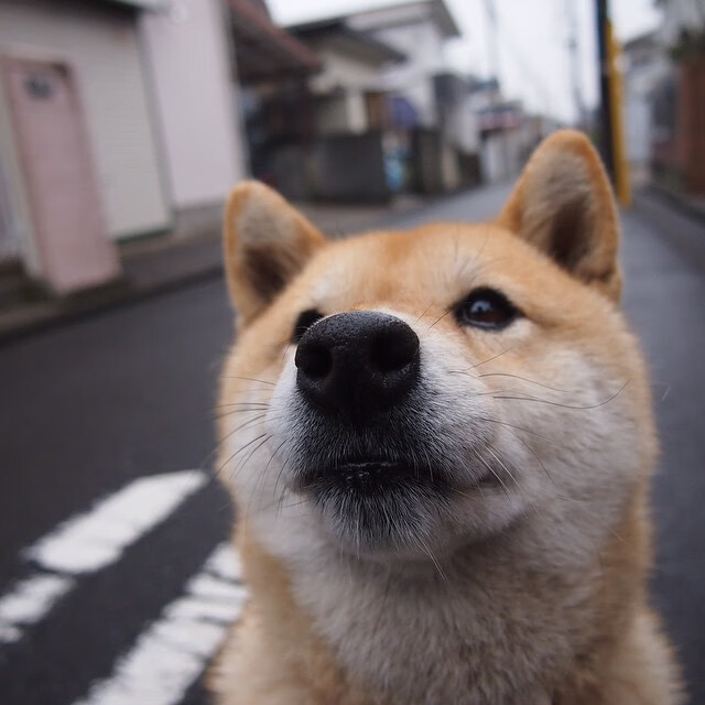 厄瓜多尔逆袭葡萄牙，年度焦点之战的巅峰对决