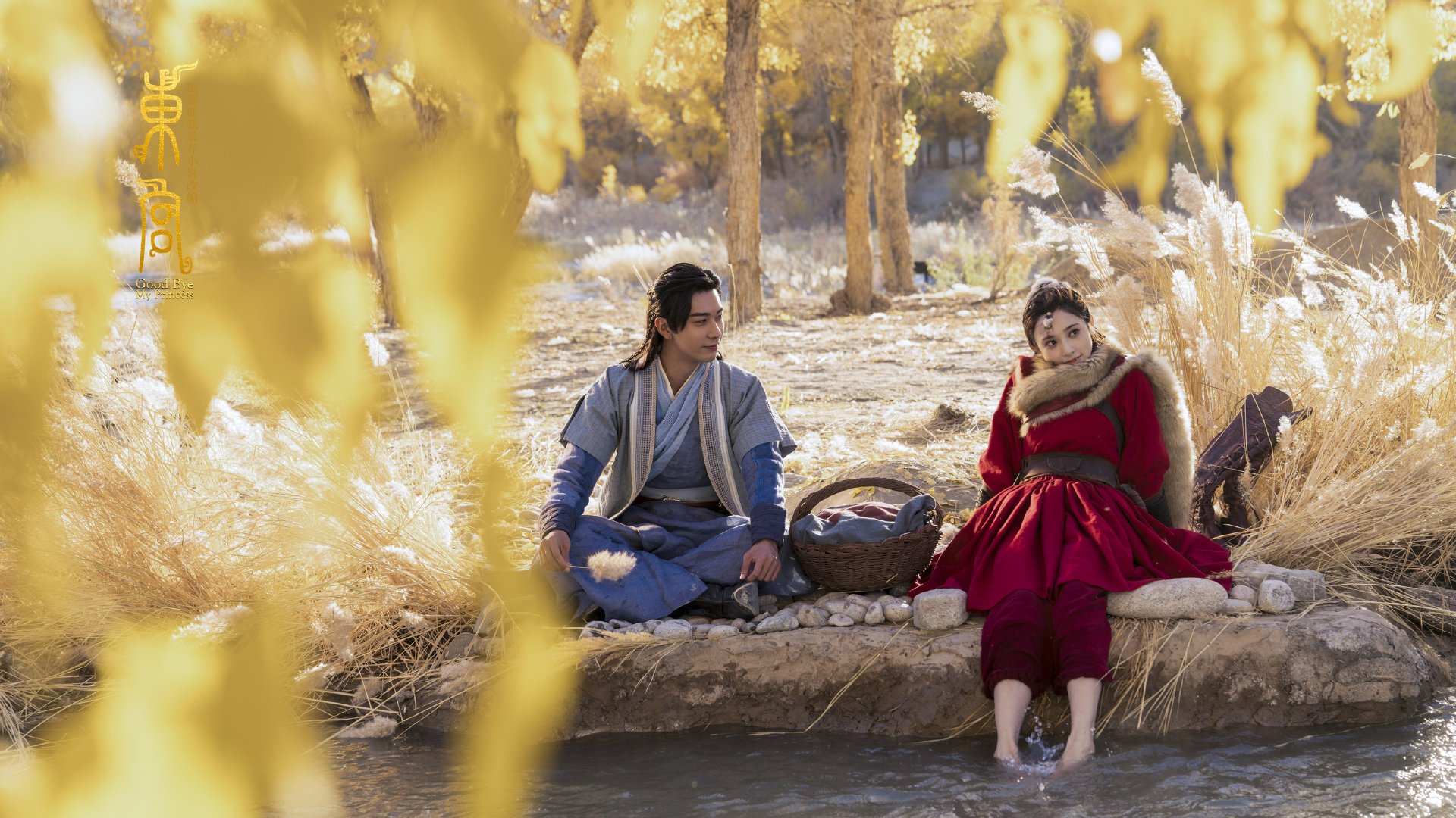 冷锋过境,加拿大战术冰封伊拉克,萨拉赫梅开二度难挽狂澜