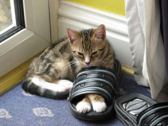 唯一性的对决，班凯罗存在感拉满，独行侠战术压制雷霆