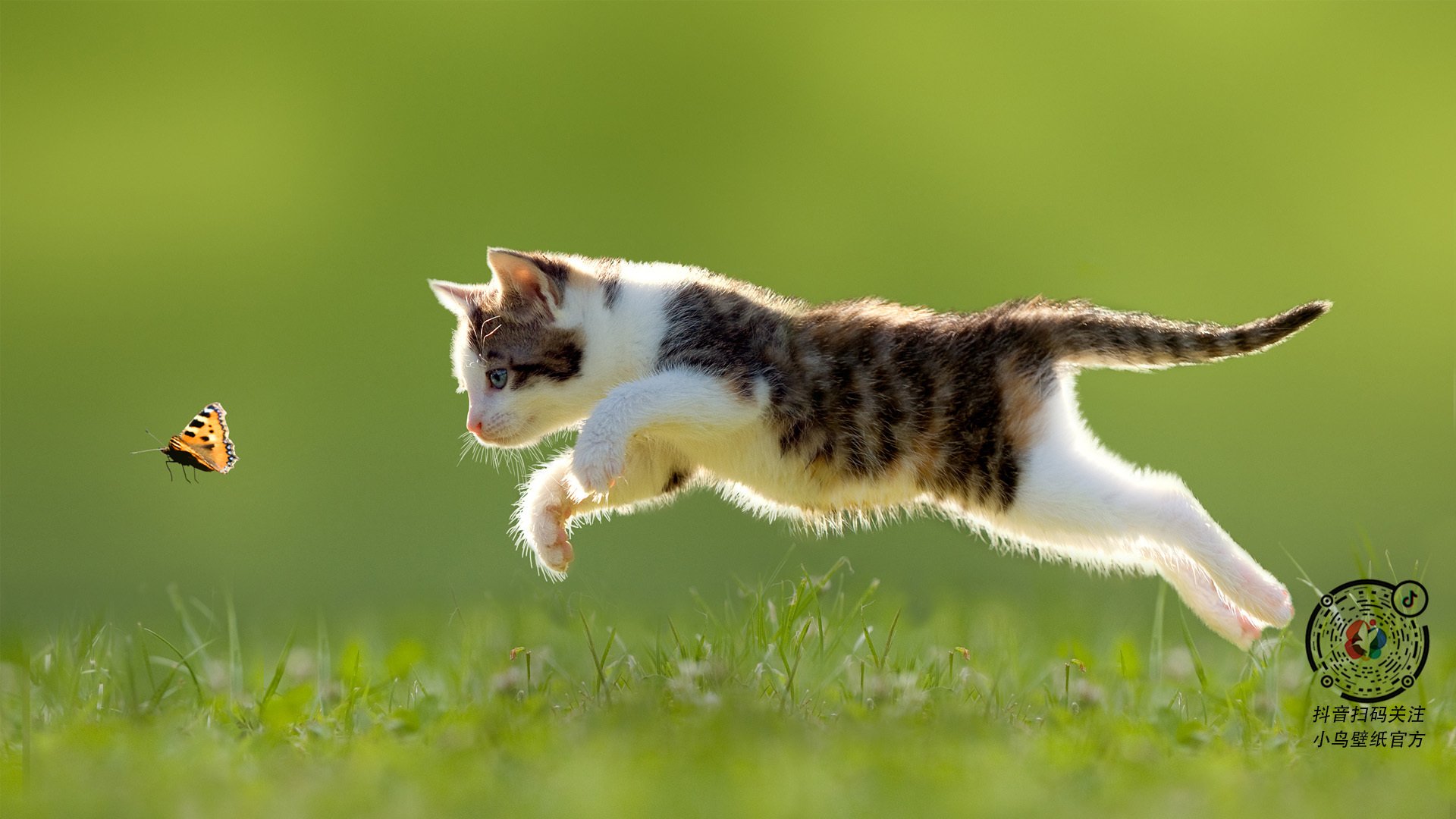 蒂亚戈冠军级表现主导，英格兰球队提前终结毕尔巴鄂悬念