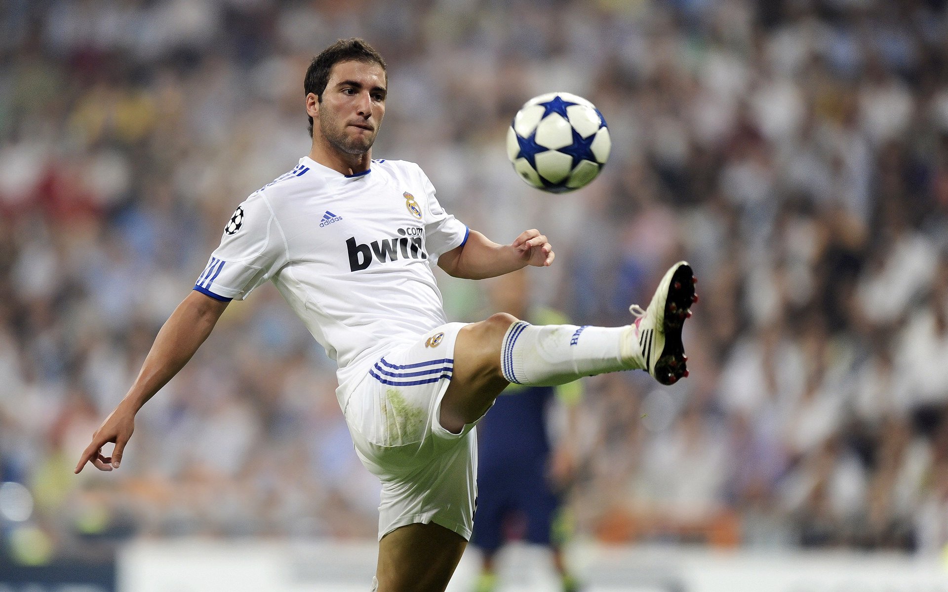 逆袭之刃，归化内马尔引领委内瑞拉篮坛扫荡丹麦神话