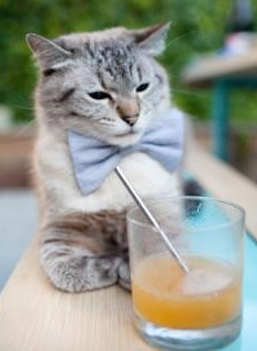 爱游戏官网-末节风暴！76人一剑封喉，拉文稳定输出铸就胜局