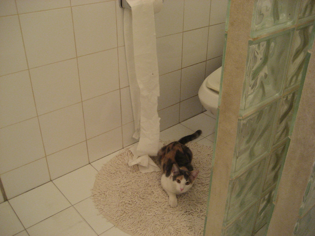 爱游戏官方-现在的河流与未来的海，步行者连续得分压制湖人，与英格拉姆在2026世界杯的遥远回响