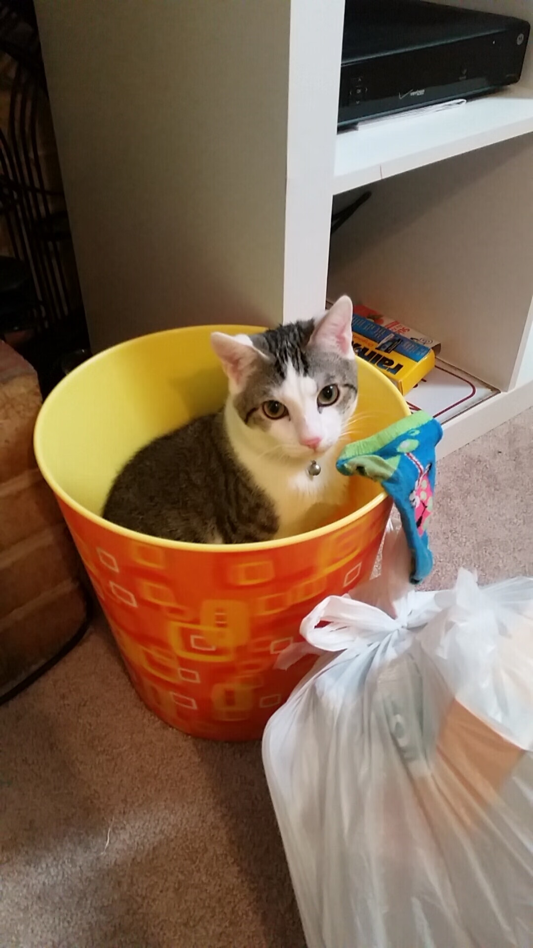 马赛港的警报与球场的心跳，当洪都拉斯封锁线遇上阿劳霍的决胜时刻