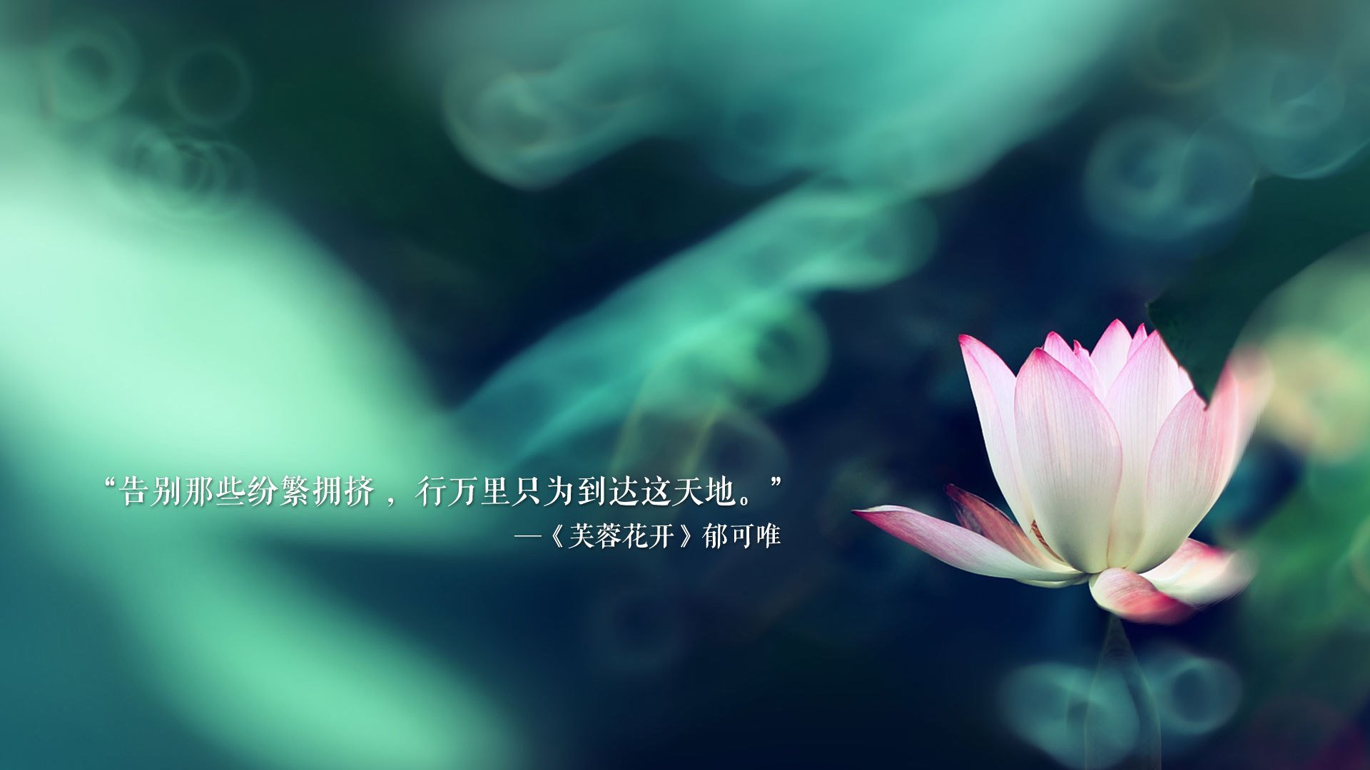 孤勇者的棋局，2026世界杯C组，日本以完胜匈牙利宣告亚洲足球的唯一性