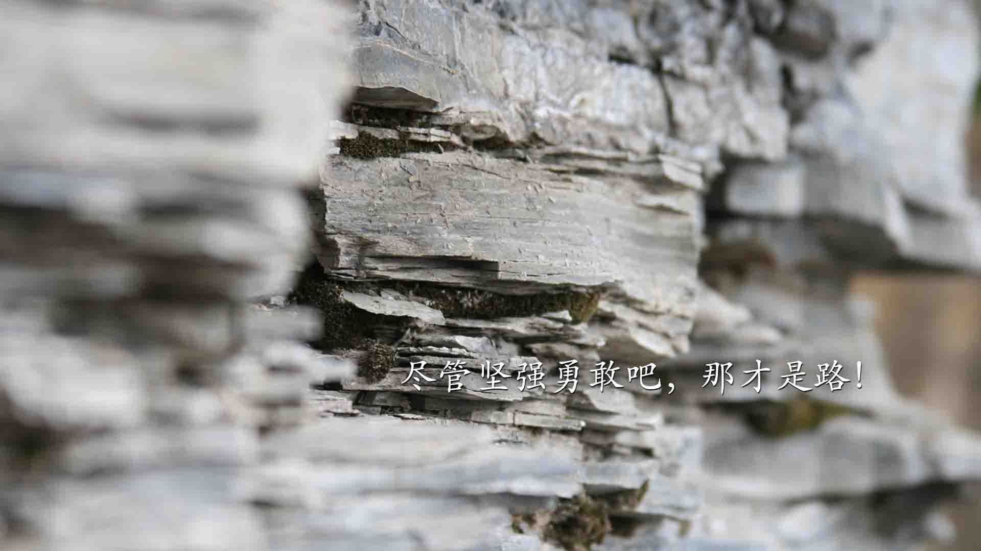 爱游戏下载-命定一击，当罗马尼亚在2026世界杯D组用控球权撕碎荷兰神话，迪亚斯成为改写历史的孤胆英雄