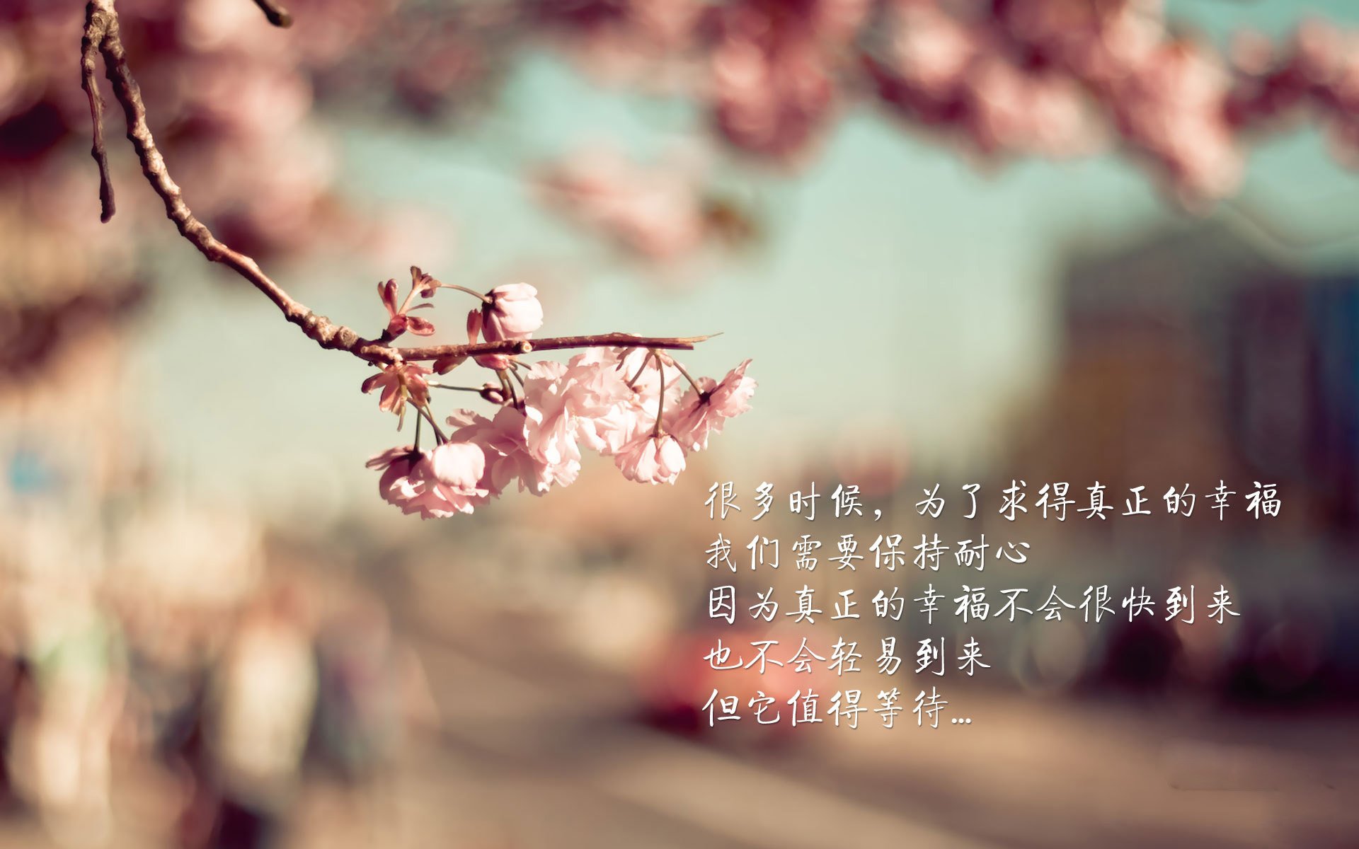 爱游戏在线-黑色雄狮怒吼，2026世界杯C组焦点战，喀麦隆横扫德国，努涅斯以进攻狂欢缔造唯一传奇